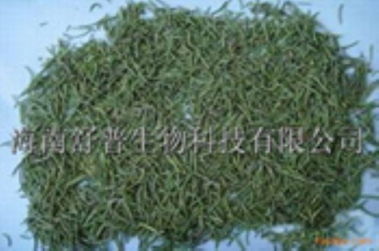 Rosemary Extract